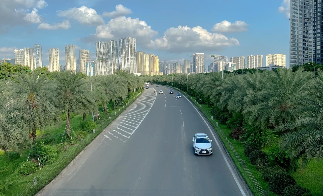 Hà Nội di dời hơn 2.600 cây xanh để nhường đất làm nút giao Vành đai 3.5 – Đại lộ Thăng Long