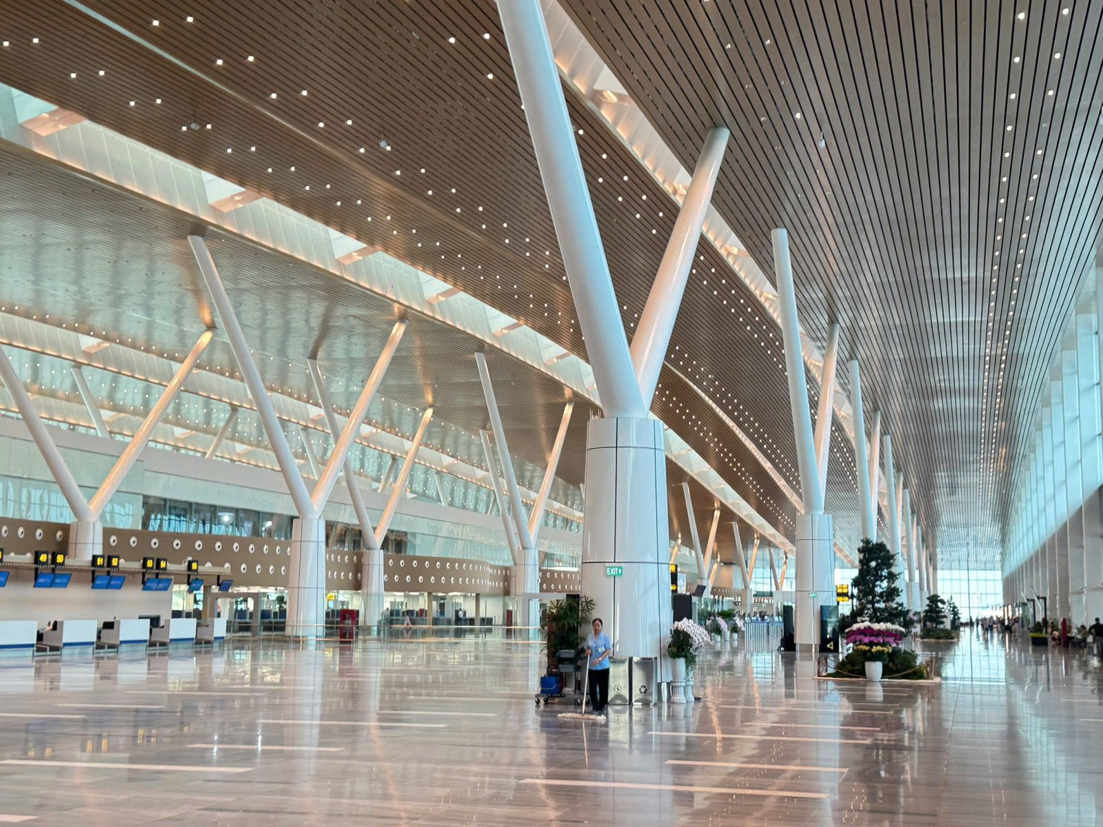 Khẩn trương khắc phục các tồn tại Nhà ga T3 sân bay Tân Sơn Nhất