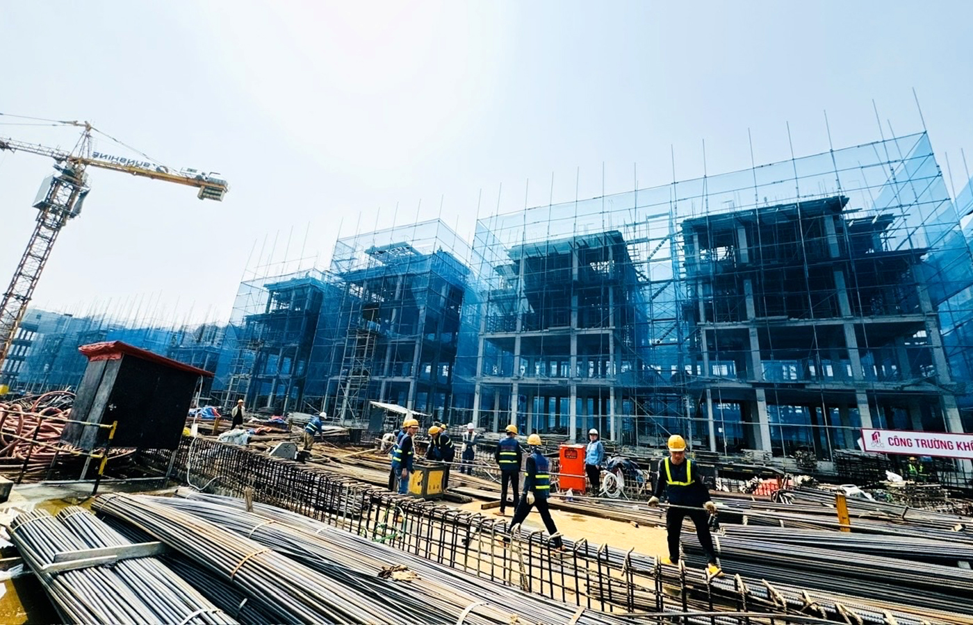 Phương án cắt giảm thủ tục hành chính ngành Xây dựng