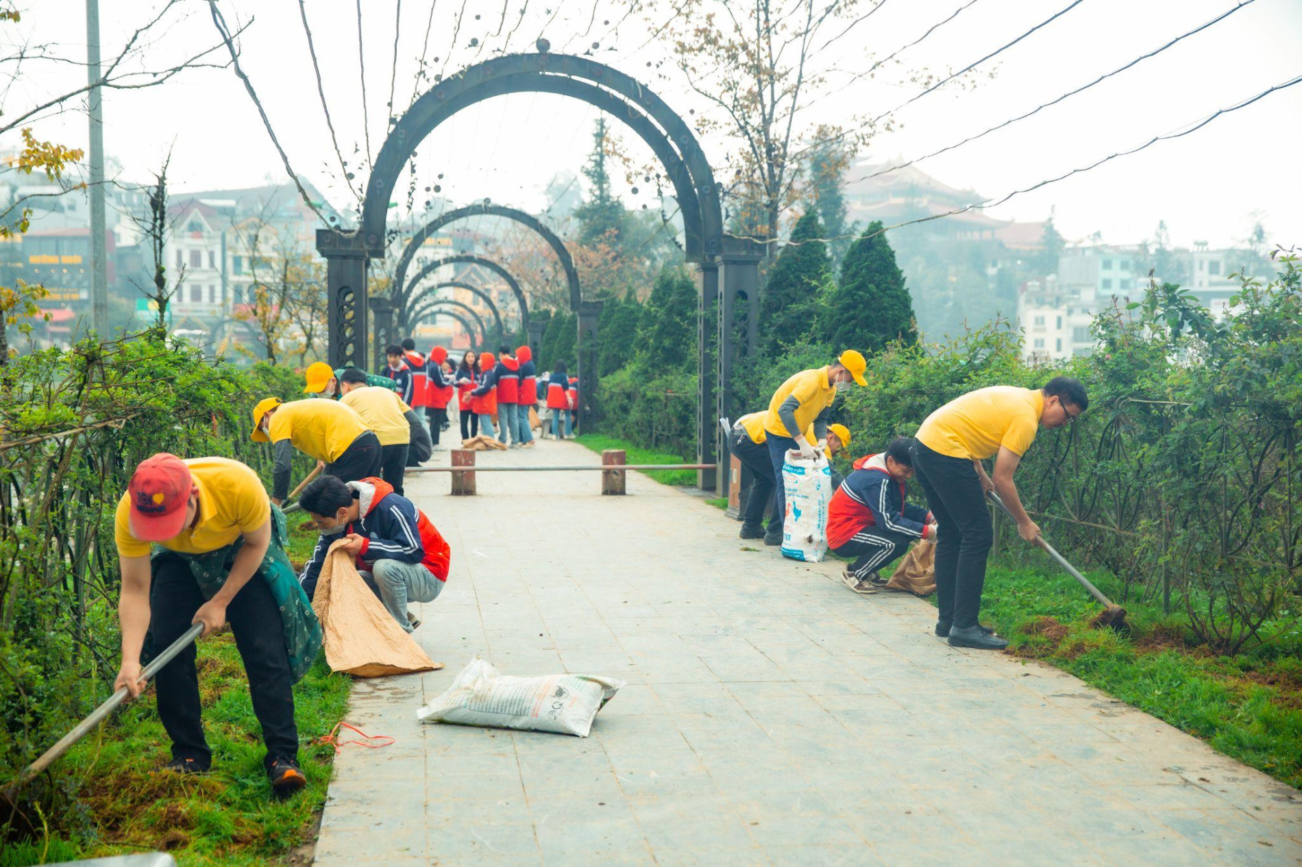 Ra quân dọn rác, trồng cây hướng tới kỷ niệm 120 năm Du lịch Sa Pa