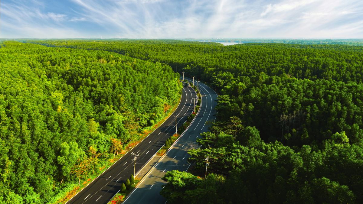 Vinhomes Green Paradise: Từ đường chạy 5.000 người đến tâm điểm sự kiện - du lịch mới của TP.HCM