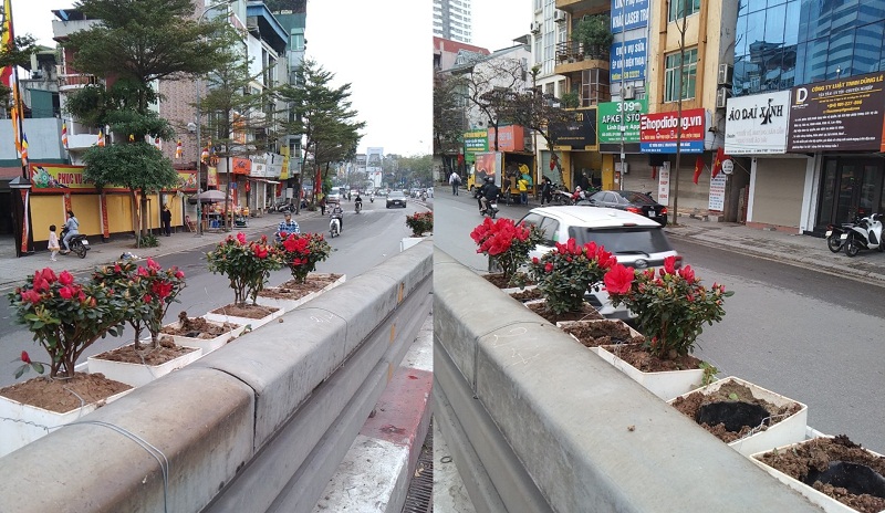 Nhức nhối nạn trộm hoa trang trí nơi công cộng ngày Tết tại Thủ đô