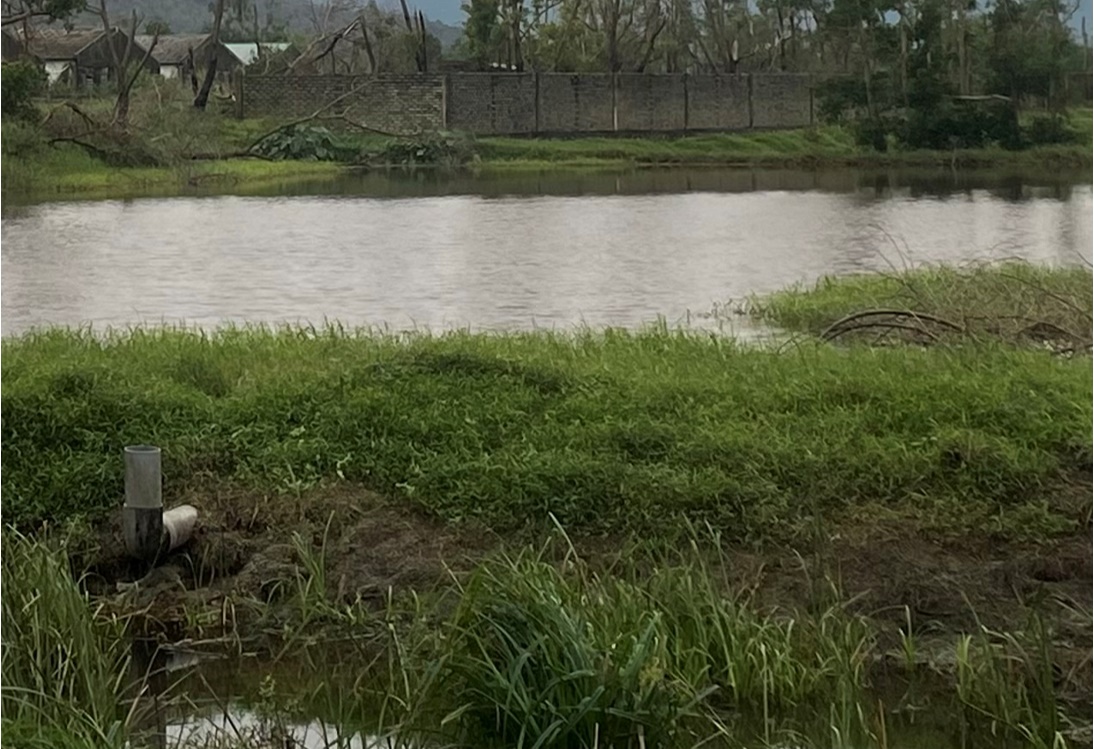 Trang trại chăn nuôi khắc phục hậu quả 2 cơn bão liên tiếp