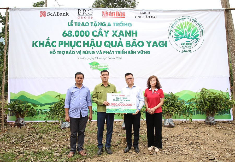 SeABank và Tập đoàn BRG chung tay trồng 68.000 cây phủ xanh gần 20ha rừng tại Lào Cai - Ảnh 1