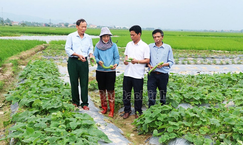 Bắc Ninh: Ngành Khoa học và Công nghệ gặt hái nhiều thành công - Ảnh 2