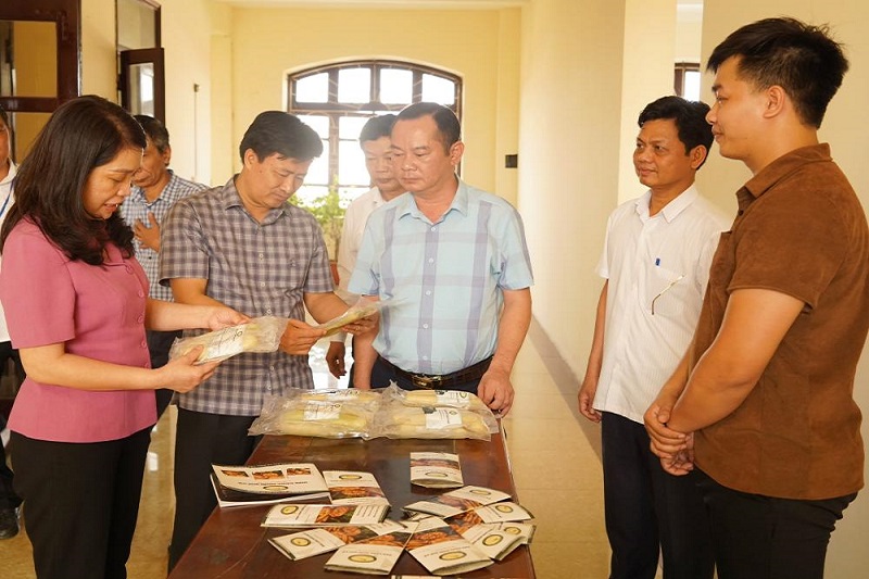 Bắc Ninh: Đem ‘món ngon’ dưa gang muối Quế Võ đến mâm cơm các gia đình - Ảnh 2