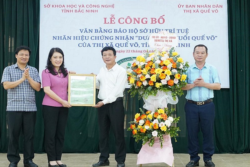 Bắc Ninh: Đem ‘món ngon’ dưa gang muối Quế Võ đến mâm cơm các gia đình - Ảnh 1